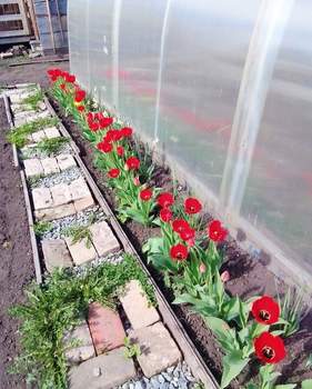 Дом 12м&sup2;, 2-этажный, участок 8 сот.  