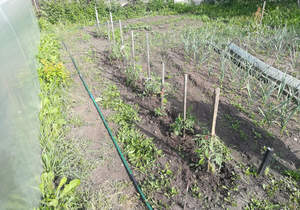 Дом 12м², 1-этажный, участок 7 сот.  