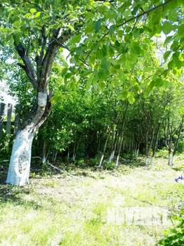 Дом 18м², 1-этажный, участок 395 сот.  