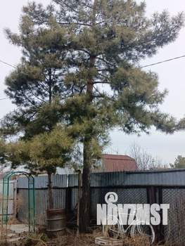 Дом 50м², 2-этажный, участок 6 сот.  