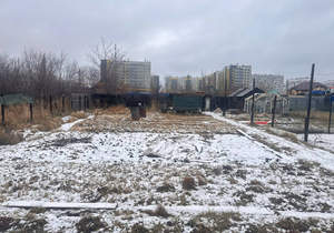 Дом 50м², 1-этажный, участок 14 сот.  