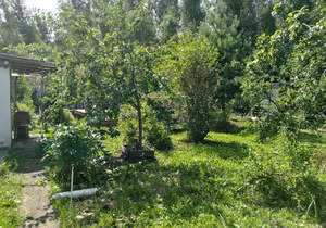 Дом 21м&sup2;, 1-этажный, участок 5 сот.  