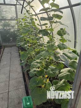 Дом 46м&sup2;, 2-этажный, участок 5 сот.  