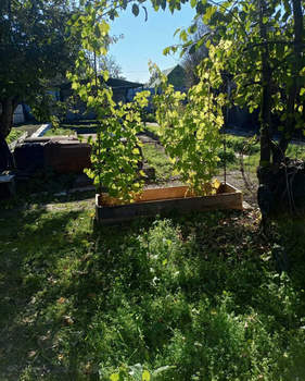 Дом 18м&sup2;, 1-этажный, участок 4 сот.  