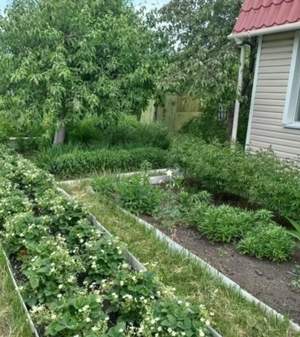 Дом 50м&sup2;, 2-этажный, участок 6 сот.  