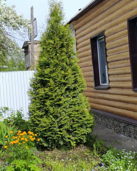 Дом 55м², 1-этажный, участок 3 сот.  
