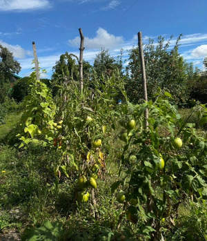 Дом 36м&sup2;, 2-этажный, участок 5 сот.  