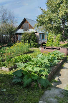 Дача 18м², 1-этажный, участок 4 сот.  