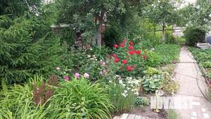 Дом 74м&sup2;, 2-этажный, участок 6 сот.  