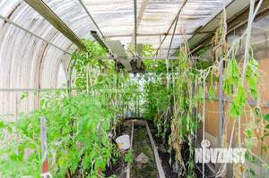 Дом 54м&sup2;, 1-этажный, участок 4 сот.  