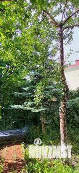 Таунхаус 298м², 4-этажный, участок 2 сот.  
