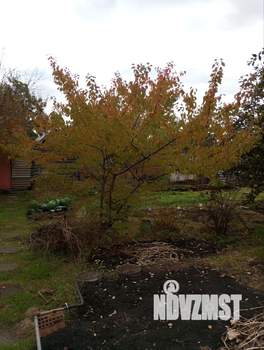 Дом 56м&sup2;, 2-этажный, участок 4 сот.  