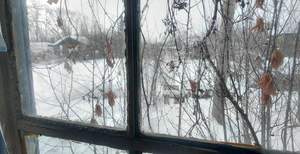 Дом 22м&sup2;, 1-этажный, участок 4 сот.  