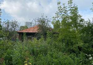 Дом 55м², 1-этажный, участок 4 сот.  