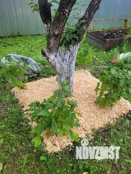 Дом 25м&sup2;, 1-этажный, участок 6 сот.  