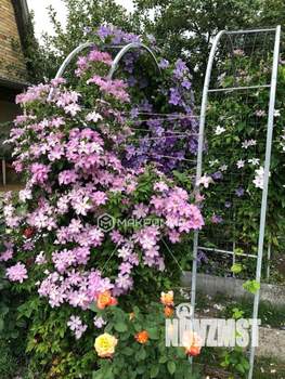 Дом 32м&sup2;, 2-этажный, участок 4 сот.  