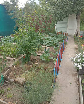 Дом 50м&sup2;, 2-этажный, участок 6 сот.  