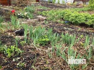 Дом 10м&sup2;, 1-этажный, участок 7 сот.  