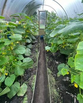 Дом 50м&sup2;, 2-этажный, участок 6 сот.  