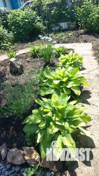 Дом 37м&sup2;, 1-этажный, участок 6 сот.  