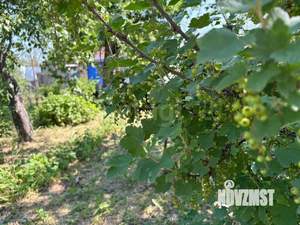 Дом 24м&sup2;, 1-этажный, участок 4 сот.  