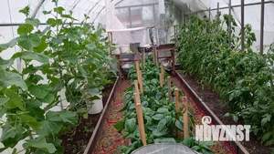 Дом 74м&sup2;, 2-этажный, участок 6 сот.  