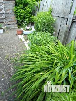 Дом 60м&sup2;, 1-этажный, участок 8 сот.  