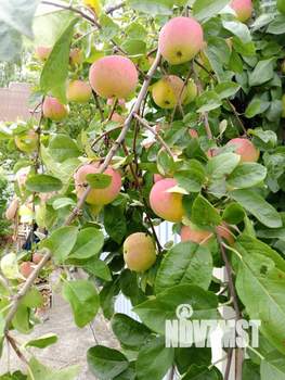 Коттедж 276м&sup2;, 3-этажный, участок 11 сот.  