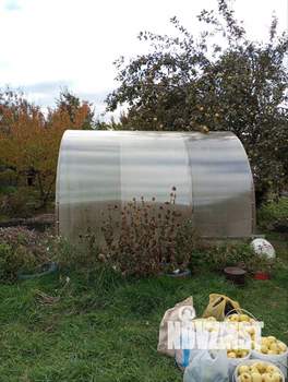 Дом 56м&sup2;, 2-этажный, участок 4 сот.  