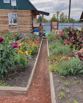 Дом 24м&sup2;, 1-этажный, участок 9 сот.  