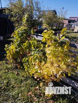 Дом 10м&sup2;, 1-этажный, участок 5 сот.  