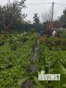 Дом 25м&sup2;, 1-этажный, участок 4 сот.  