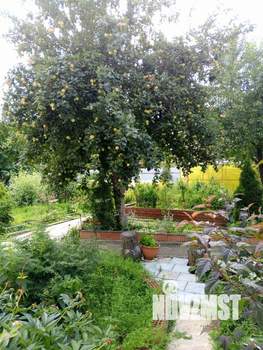 Коттедж 276м&sup2;, 3-этажный, участок 11 сот.  