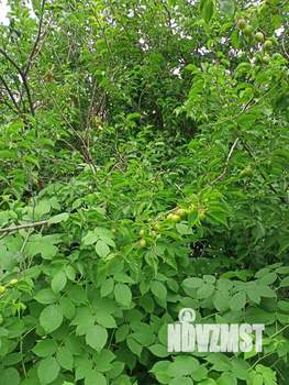 Дом 22м&sup2;, 2-этажный, участок 6 сот.  