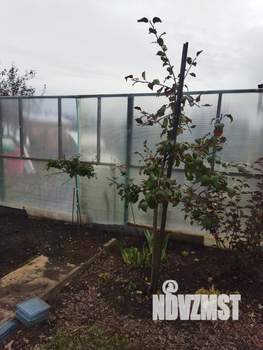 Дом 26м&sup2;, 1-этажный, участок 4 сот.  