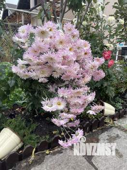 Таунхаус 120м&sup2;, 3-этажный, участок 2 сот.  