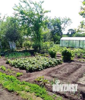 Дом 12м&sup2;, 1-этажный, участок 8 сот.  