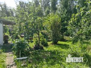 Дом 21м&sup2;, 1-этажный, участок 534 сот.  