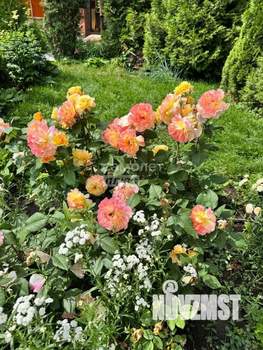 Дом 204м&sup2;, 2-этажный, участок 11 сот.  