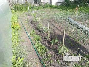 Дом 20м&sup2;, 1-этажный, участок 7 сот.  