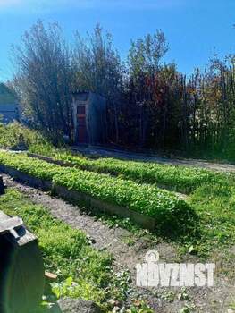 Дом 18м², 1-этажный, участок 395 сот.  