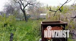 Дача 15м², 1-этажный, участок 4 сот.  