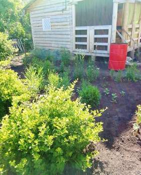 Дом 12м&sup2;, 2-этажный, участок 8 сот.  