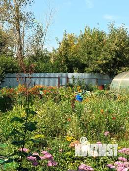 Дом 20м&sup2;, 2-этажный, участок 7 сот.  