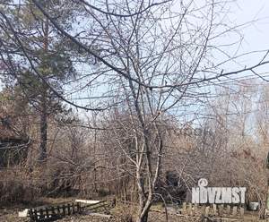 Дом 18м&sup2;, 1-этажный, участок 5 сот.  