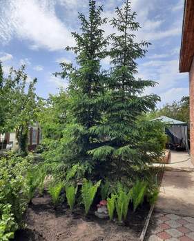 Дом 56м², 2-этажный, участок 64 сот.  