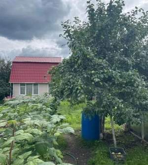 Дом 50м&sup2;, 2-этажный, участок 6 сот.  