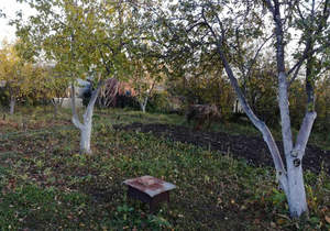 Дом 12м², 1-этажный, участок 7 сот.  