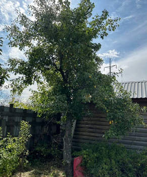 Дом 36м&sup2;, 2-этажный, участок 5 сот.  