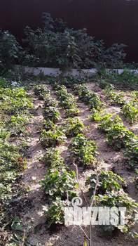 Дом 10м&sup2;, 1-этажный, участок 4 сот.  